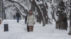 Зима в Крыму ожидается с погодными аномалиями