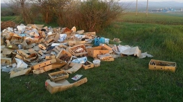 Специалисты ликвидировали в Симферопольском районе несанкционированную свалку биологических отходов
