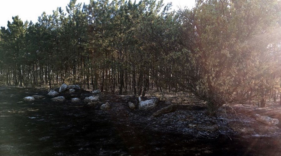 Спасатели локализовали ночной пожар в Ялтинском заповеднике