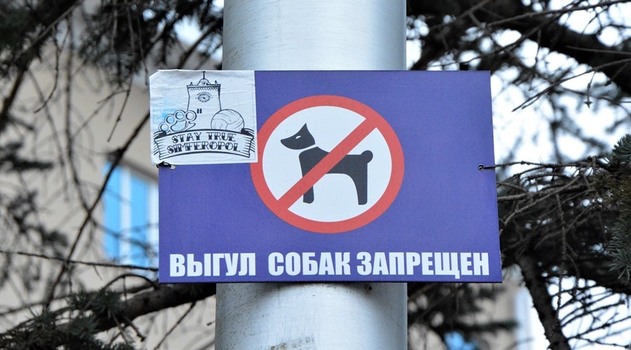 Россиянам в пьяном виде запретят выгуливать животных