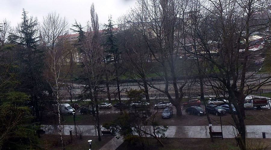 Один факт парковки на газоне задокументировали в администрации Симферополя за неделю