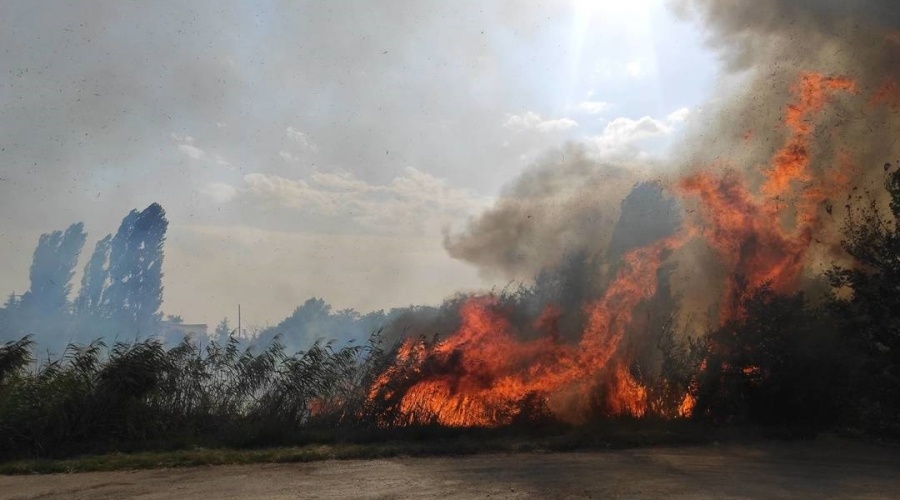 Более 35 гектаров сухой травы выгорело в Крыму за минувшие выходные