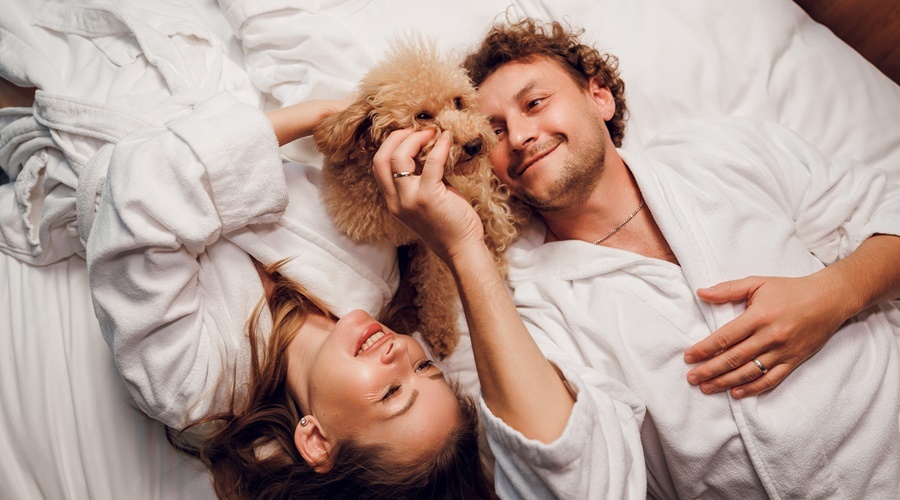 Курорт «Мрия» и компания «Валта Пет Продактс» создают новый стандарт pet-friendly отдыха в России