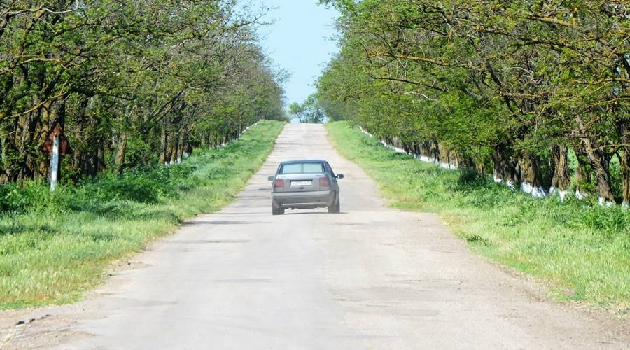 Сенатор раскрыла перспективы восстановления сельских дорог в Крыму