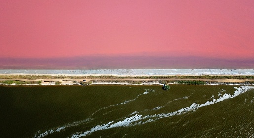 Сбор урожая розовой морской соли начался в Крыму