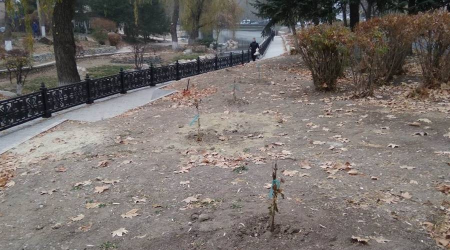 Сотрудники симферопольского «Города» начали высадку новых деревьев на набережной Салгира