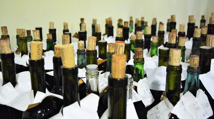 Госпрограмму развития виноделия утвердят в России