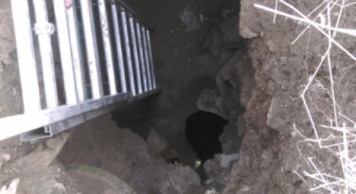 Сотрудники МЧС в Крыму спасли упавшую в шестиметровую яму собаку