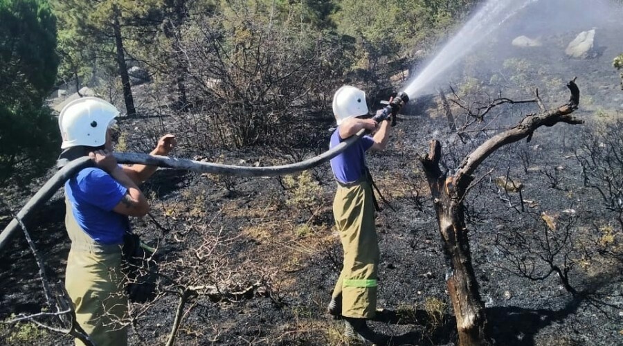 Спасатели потушили пожар на ЮБК