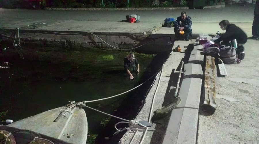 Раненый дельфин был найден у берегов «Херсонеса Таврического»