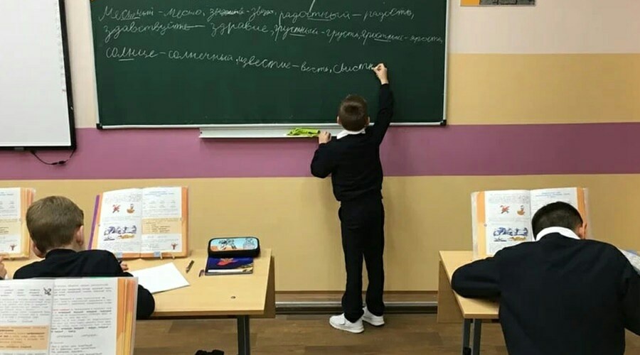 Правительству России предложили установить единый интернет-тариф для школ