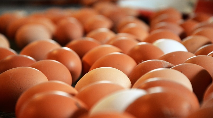 Правительство России одобрило обнуление пошлин на импортные яйца