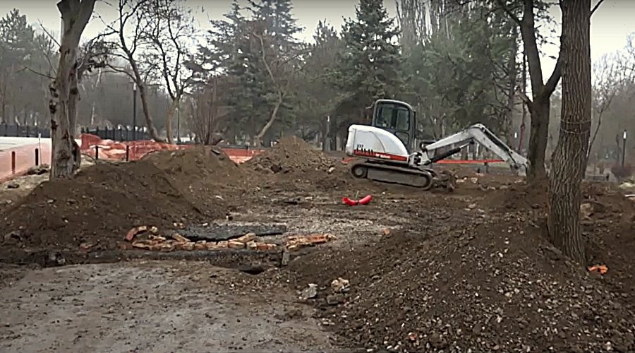 Симферополь получит 21 млн руб на высадку деревьев от подрядчика строительства коллектора
