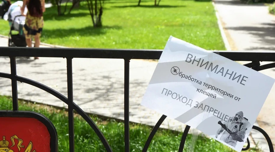 Более 700 крымчан прошли вакцинацию от клещевого энцефалита с начала года