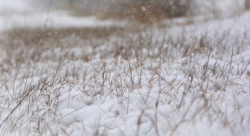 Восемь сантиметров снега выпало в Симферополе – гидрометцентр