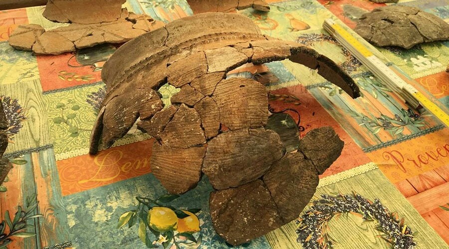Уникальное поселение скотоводов бронзового века нашли в Крыму благодаря трассе «Таврида»