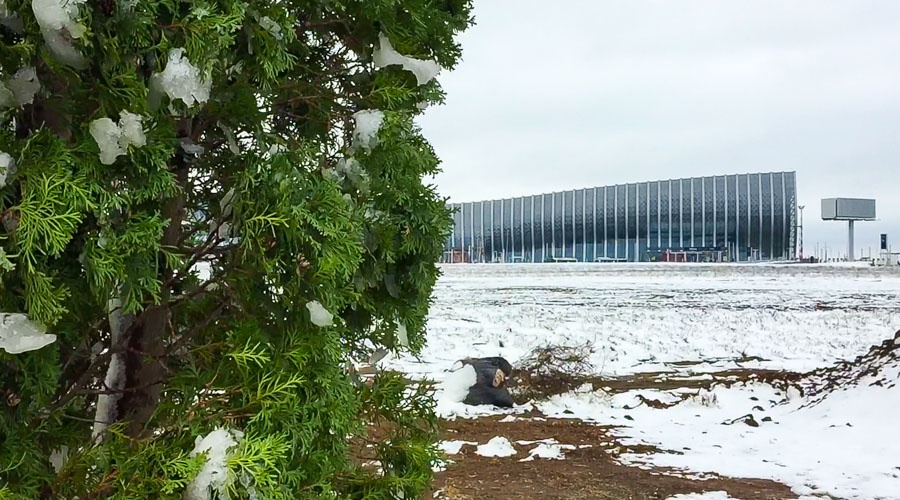 Работы по озеленению ведутся на подъезде к аэропорту Симферополь