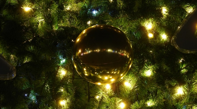 Главная новогодняя ёлка столицы Крыма сменит место дислокации