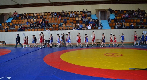 Два юношеских турнира по греко-римской борьбе состоялись в праздничные дни в Керчи