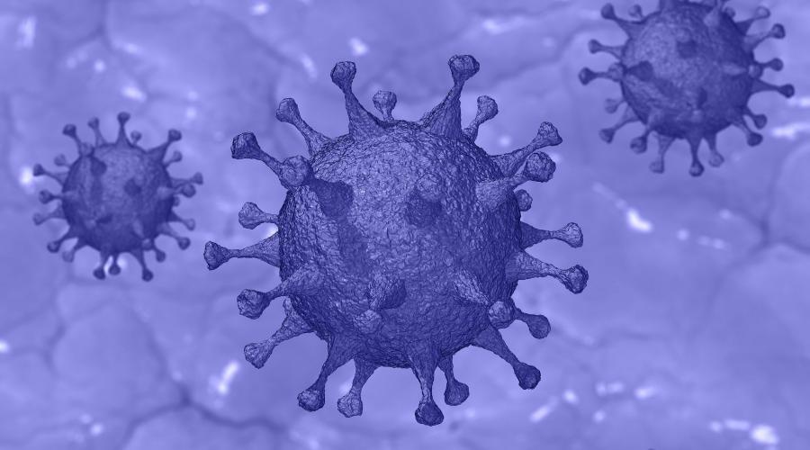 Вылечившийся от коронавируса человек может оставаться разносчиком инфекции