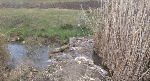 Инспекторы минприроды Крыма оштрафовали «землекопа», перекрывшего реку в Белогорском районе