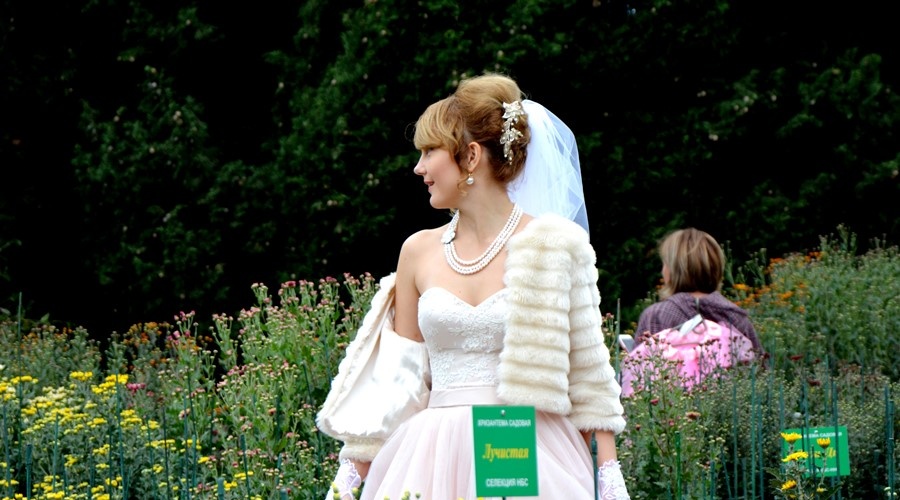 Минюст Крыма назвал уходящую неделю свадебным бумом