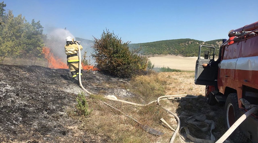 Два гектара сухостоя выгорело за сутки в Крыму