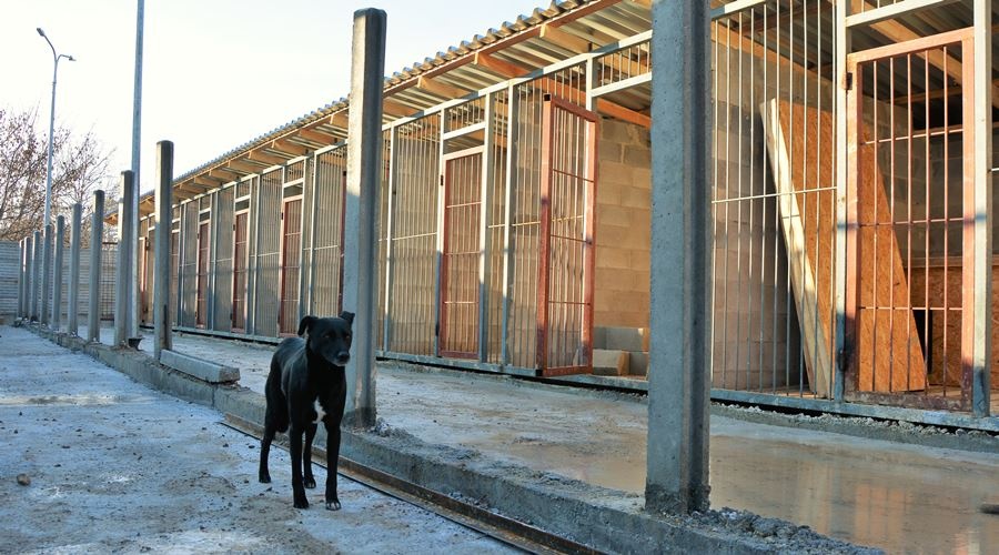 Более 50 млн руб выделено в Симферополе на окончание строительства детсадов, приюта для животных и водовода