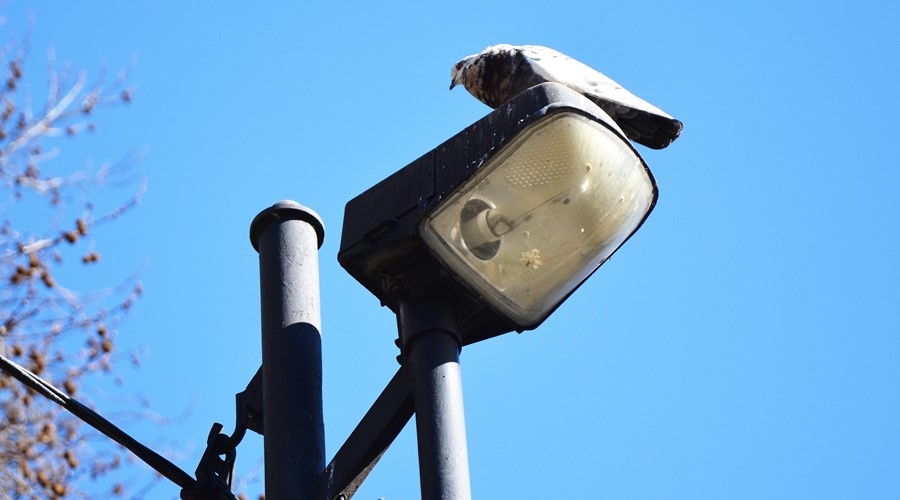 Симферопольский «Горсвет» получил более 6 млн руб на создание сетей уличного освещения