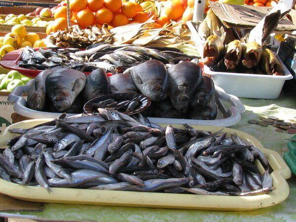 Ветеринары изъяли и уничтожили более 100 кг рыбы в Керчи и Ленинском районе