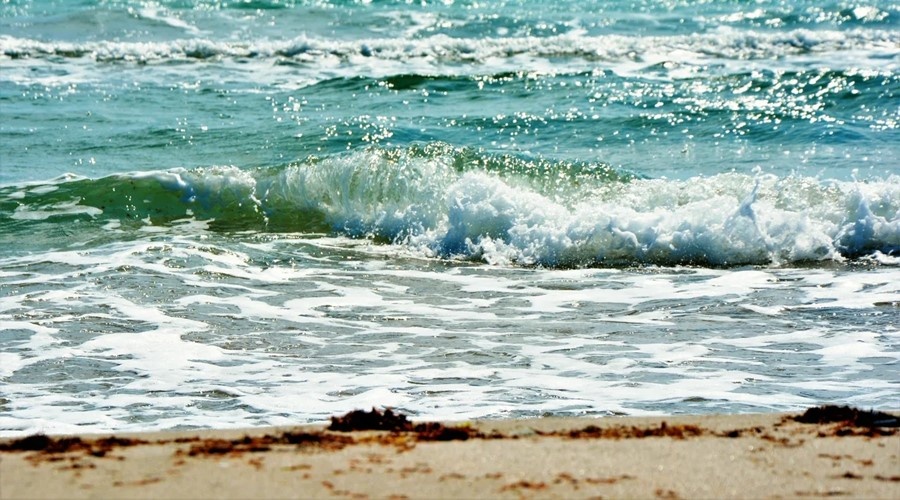 Синоптики рассказали, где в Крыму самая тёплая морская вода