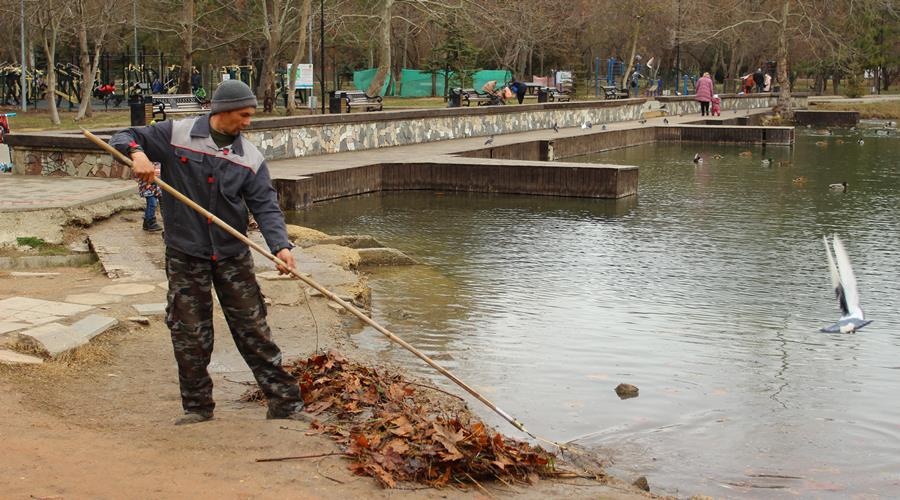 Специалисты проведут масштабную чистку пруда в симферопольском парке им. Гагарина