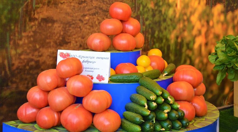 Рост урожая тепличных овощей позволит сохранить летние цены до декабря