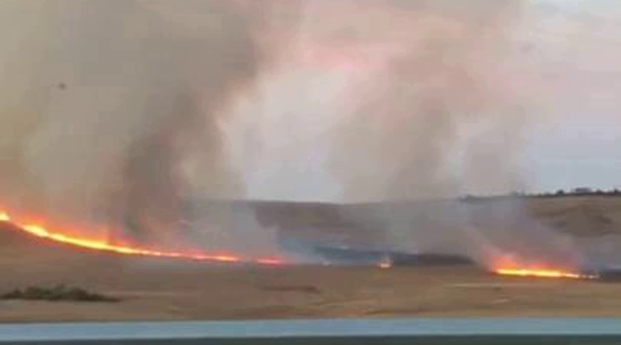 Пять гектаров сухой травы выгорело в Белогорском районе