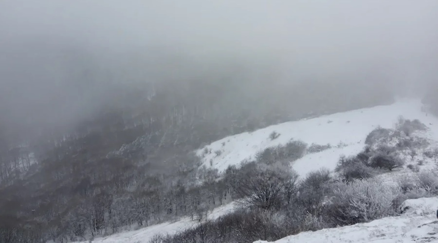 Мокрый снег и сильный ветер продлятся в Крыму ещё сутки