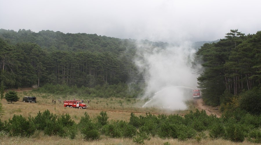 Госдума планирует повысить штрафы за лесные пожары в 10 раз