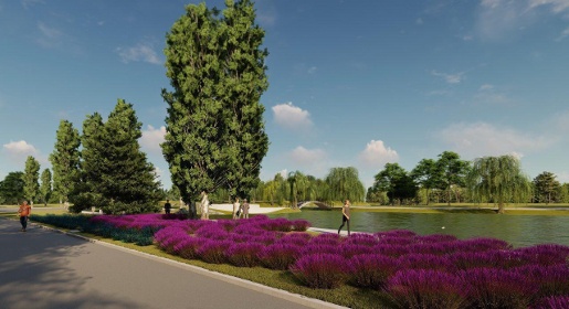 «Монолит» и «Крымская Роза» высадят лавандовый сад в парке им. Гагарина в Симферополе