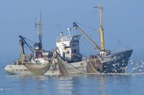 Украина подписала протокол о квотах на вылов рыбы на Азове
