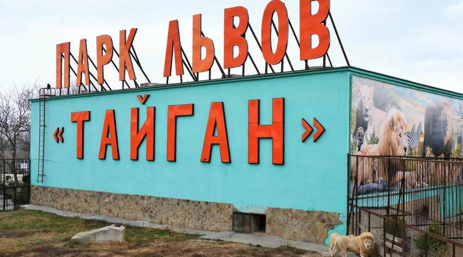 Прокуратура Крыма сообщила подробности ареста владельца «Тайгана»