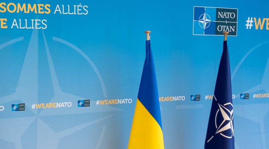 Вступление Украины в НАТО противоречит Парижской хартии – вице-спикер Совфеда