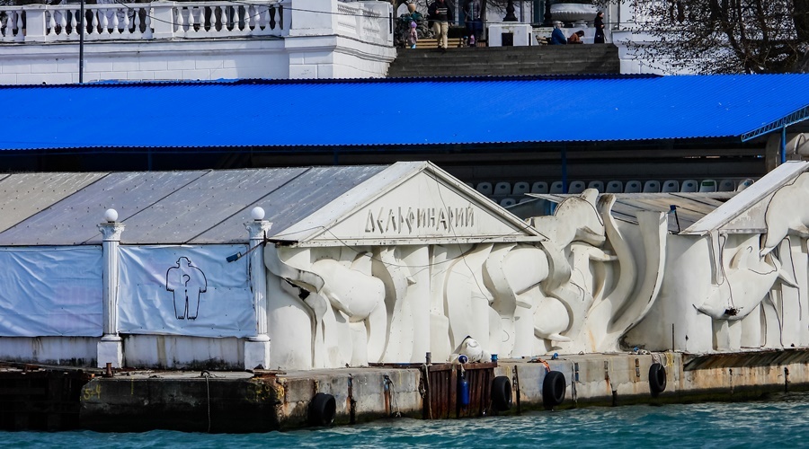 Купальня появится на набережной Севастополя на месте закрытого дельфинария