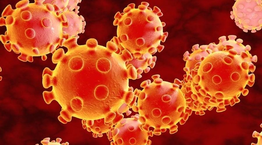 Число заразившихся коронавирусом в мире превысило 40 миллионов человек