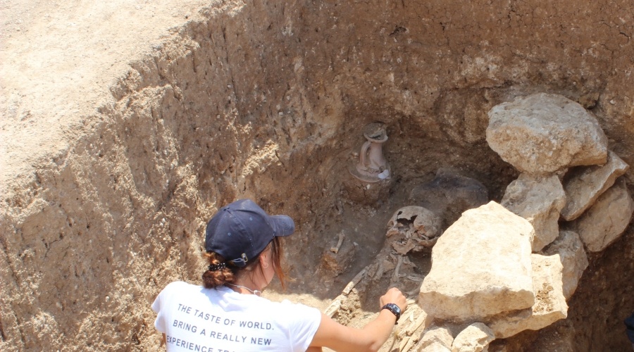 Археологические находки из зоны строительства трассы «Таврида» покажут в Херсонесе