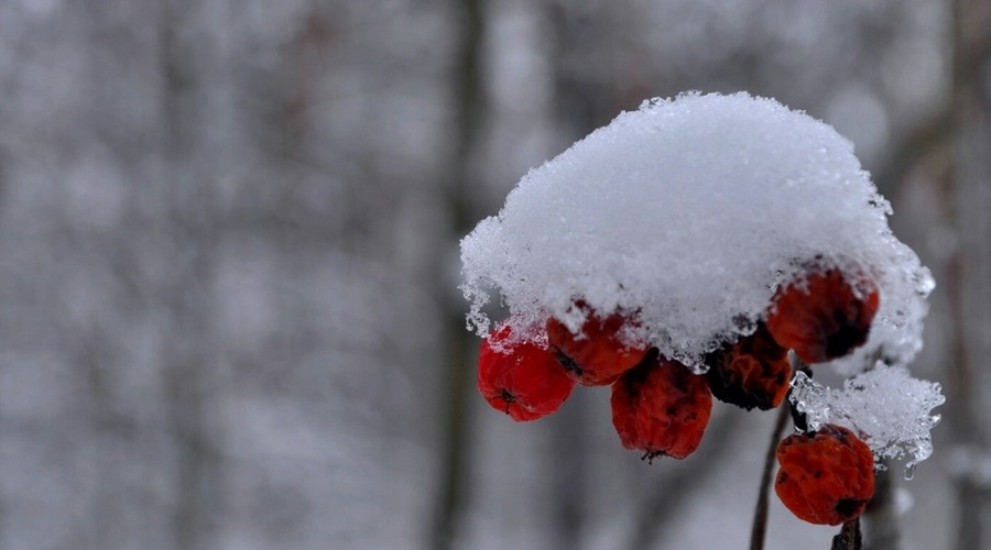 В субботу в Крыму до 7 градусов мороза, снег, на дорогах гололедица