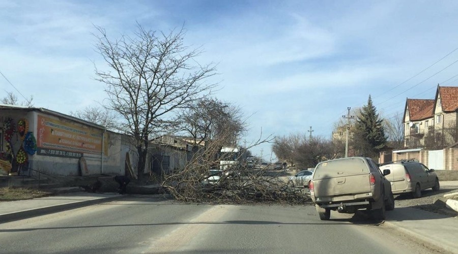 МЧС предупредило об усилении ветра в Симферополе до 25 метров в секунду 