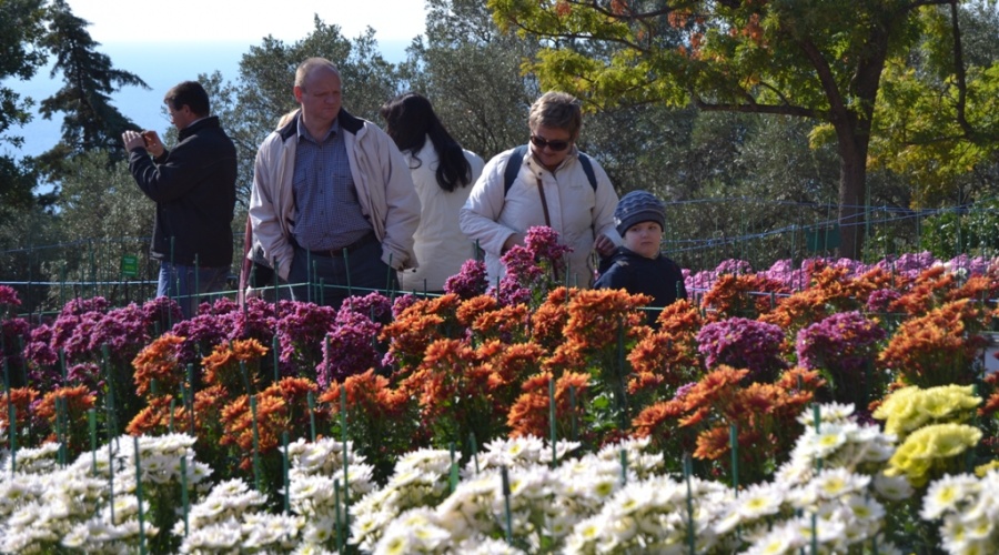 В Никитском ботаническом саду открылся бал хризантем, а Ялта стала городом канн
