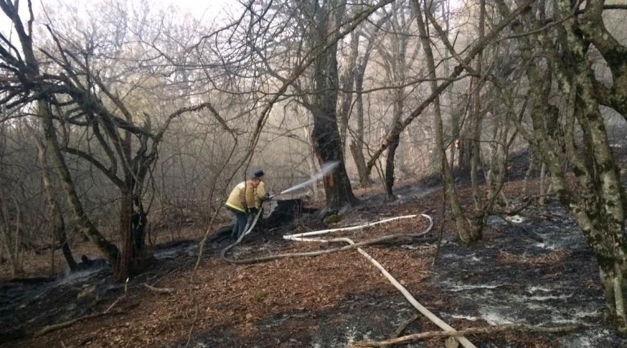Спасатели потушили лесной пожар в Бахчисарайском районе