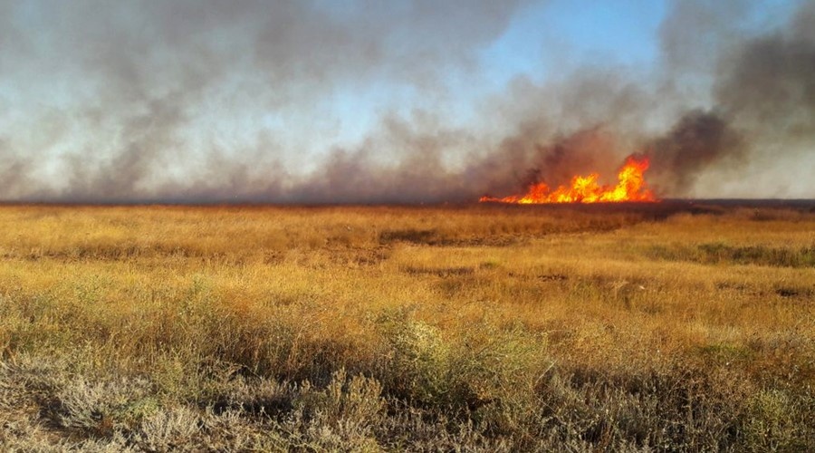 Крымские пожарные за последние три дня более 10 раз тушили сухостой