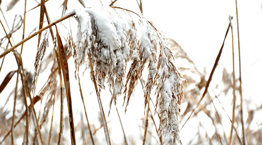 Похолодание до 7 градусов мороза ожидается на выходных в Крыму
