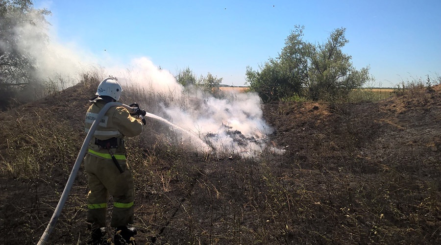 Огонь уничтожил гектар пшеницы в Кировском районе Крыма
